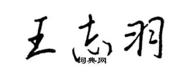 王正良王志羽行书个性签名怎么写