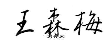 王正良王森梅行书个性签名怎么写