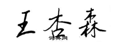 王正良王杏森行书个性签名怎么写