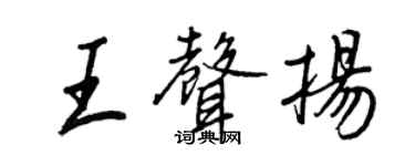 王正良王声扬行书个性签名怎么写