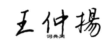 王正良王仲扬行书个性签名怎么写