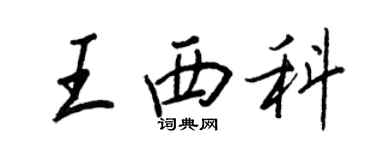 王正良王西科行书个性签名怎么写