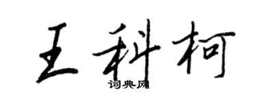 王正良王科柯行书个性签名怎么写