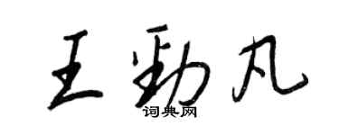 王正良王劲凡行书个性签名怎么写