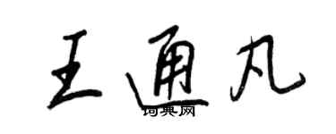 王正良王通凡行书个性签名怎么写