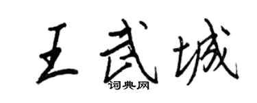 王正良王武城行书个性签名怎么写