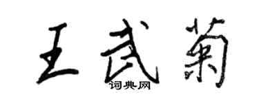 王正良王武菊行书个性签名怎么写