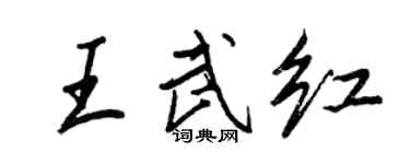 王正良王武红行书个性签名怎么写