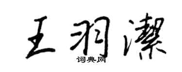 王正良王羽洁行书个性签名怎么写
