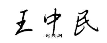 王正良王中民行书个性签名怎么写