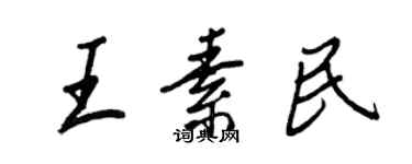 王正良王素民行书个性签名怎么写