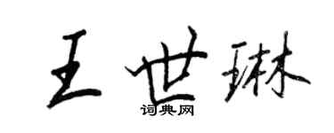 王正良王世琳行书个性签名怎么写