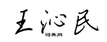 王正良王沁民行书个性签名怎么写