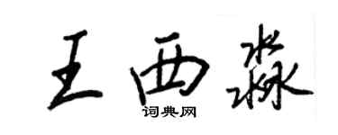 王正良王西淼行书个性签名怎么写