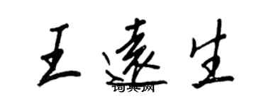 王正良王远生行书个性签名怎么写