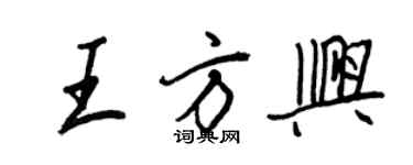 王正良王方兴行书个性签名怎么写