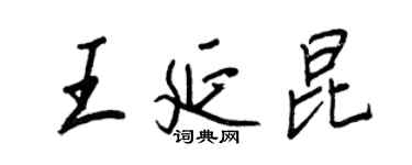 王正良王延昆行书个性签名怎么写