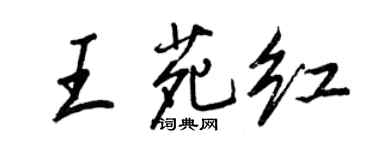 王正良王苑红行书个性签名怎么写