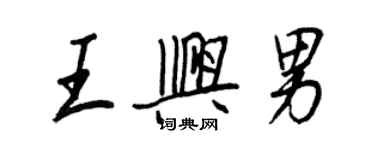 王正良王兴男行书个性签名怎么写