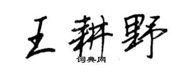 王正良王耕野行书个性签名怎么写