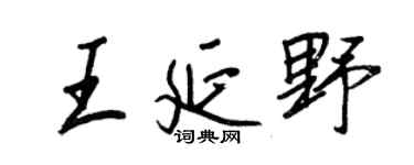 王正良王延野行书个性签名怎么写