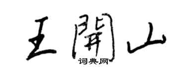 王正良王开山行书个性签名怎么写