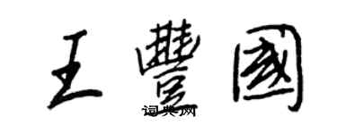 王正良王丰国行书个性签名怎么写