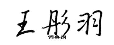 王正良王彤羽行书个性签名怎么写