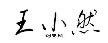 王正良王小然行书个性签名怎么写