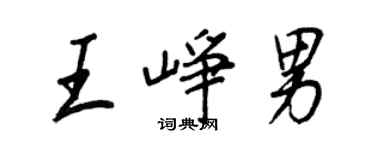 王正良王峥男行书个性签名怎么写