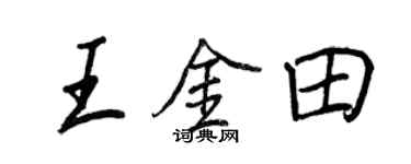 王正良王金田行书个性签名怎么写