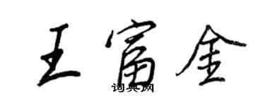 王正良王富金行书个性签名怎么写