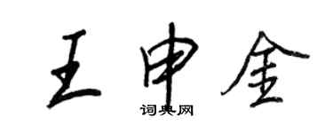 王正良王申金行书个性签名怎么写