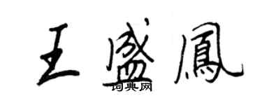 王正良王盛凤行书个性签名怎么写