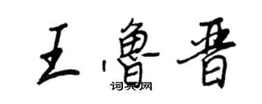 王正良王鲁晋行书个性签名怎么写