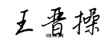 王正良王晋操行书个性签名怎么写