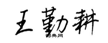 王正良王勤耕行书个性签名怎么写