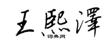 王正良王熙泽行书个性签名怎么写