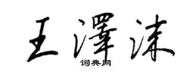 王正良王泽沫行书个性签名怎么写