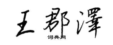 王正良王郡泽行书个性签名怎么写