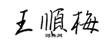 王正良王顺梅行书个性签名怎么写