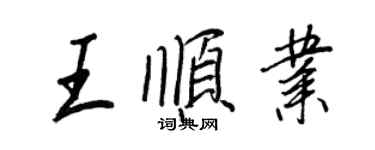 王正良王顺业行书个性签名怎么写