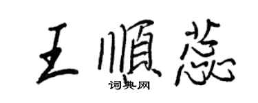 王正良王顺蕊行书个性签名怎么写