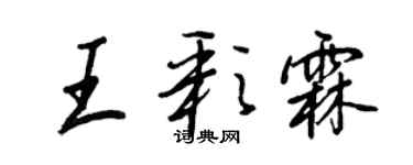 王正良王彩霖行书个性签名怎么写
