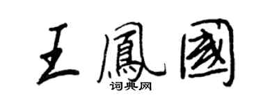 王正良王凤国行书个性签名怎么写