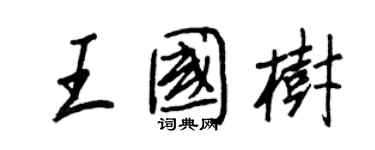 王正良王国树行书个性签名怎么写