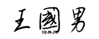 王正良王国男行书个性签名怎么写
