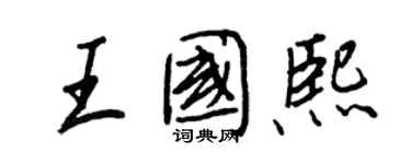 王正良王国熙行书个性签名怎么写