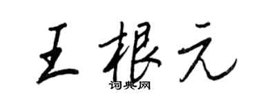 王正良王根元行书个性签名怎么写
