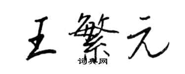 王正良王繁元行书个性签名怎么写